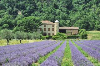 Balmes Le Château