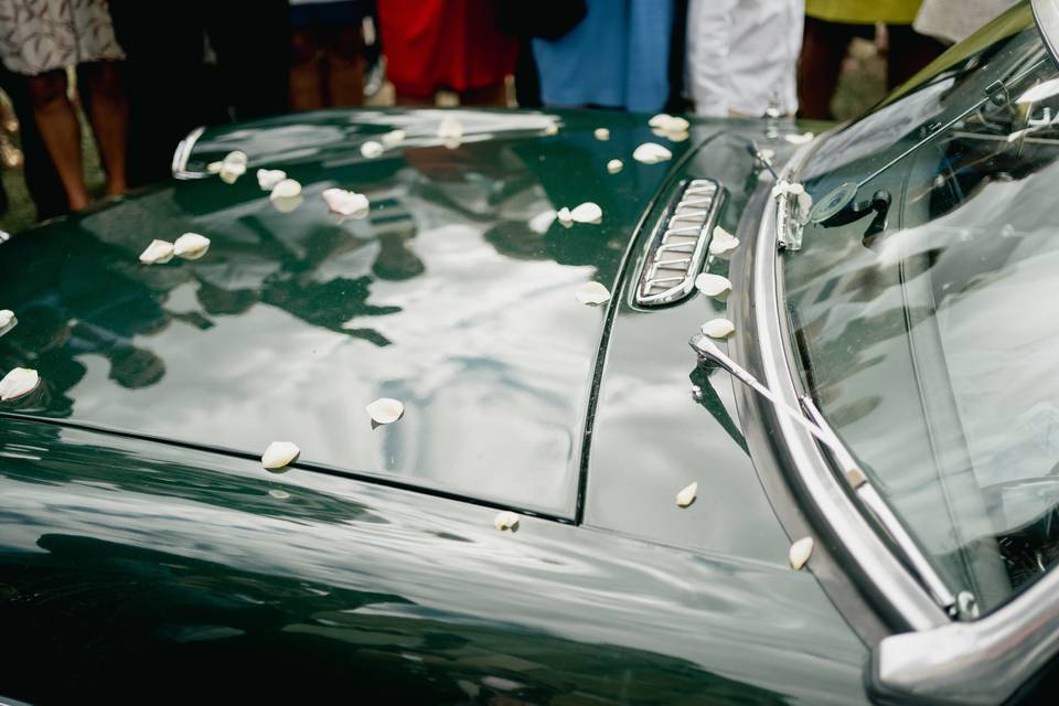 Petals on a VIntage Escape