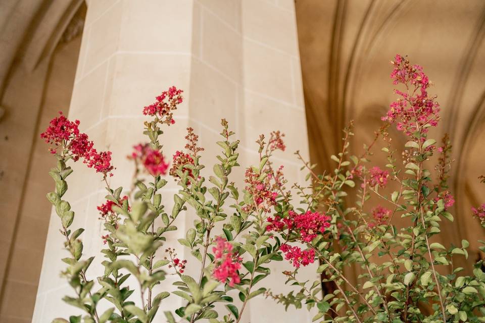 Floral Architecture