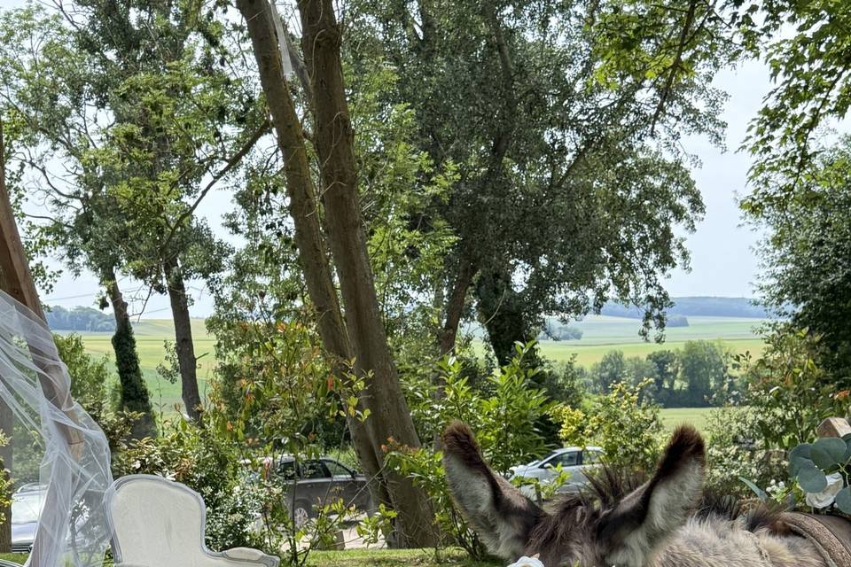 Domaine Le Centaure