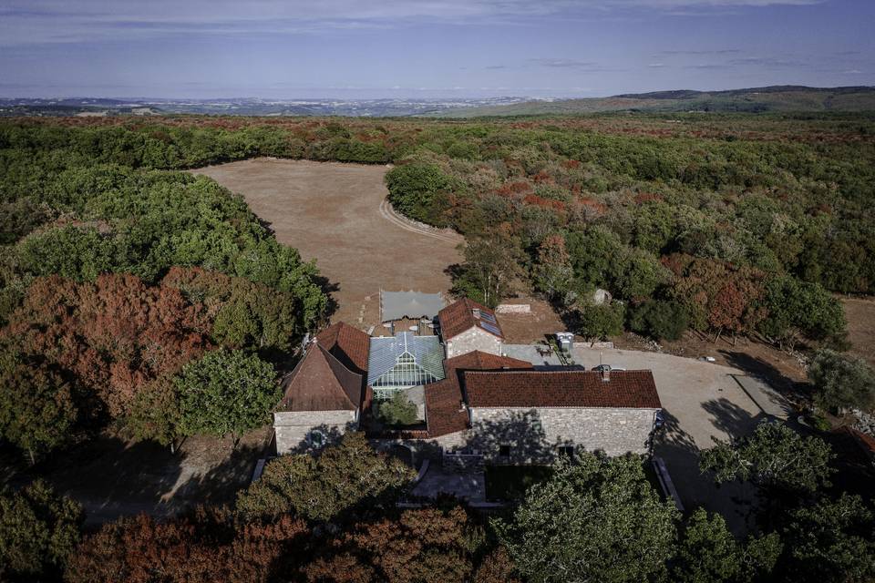 Vue sur la forêt de Grésigne