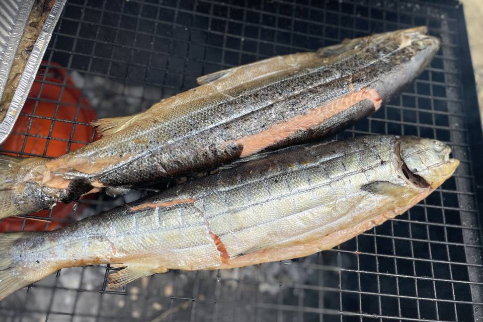 Poisson grillé