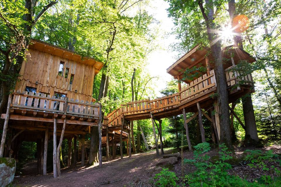 Cabane dans les arbres
