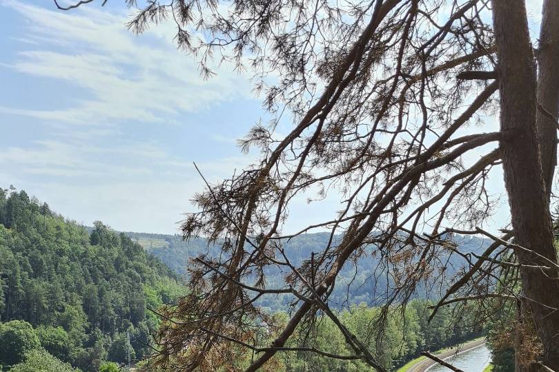 Paysage