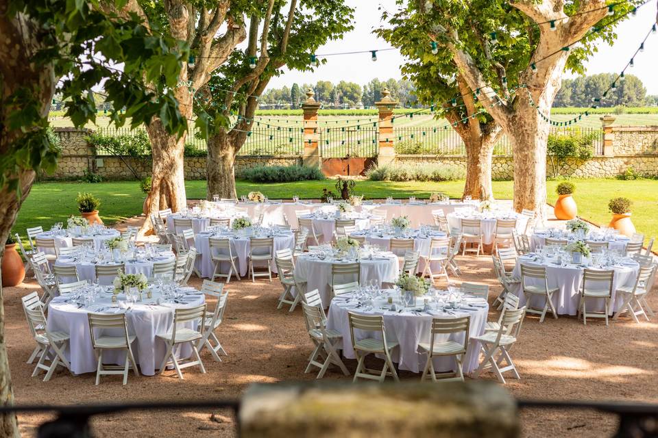 Repas dans le parc