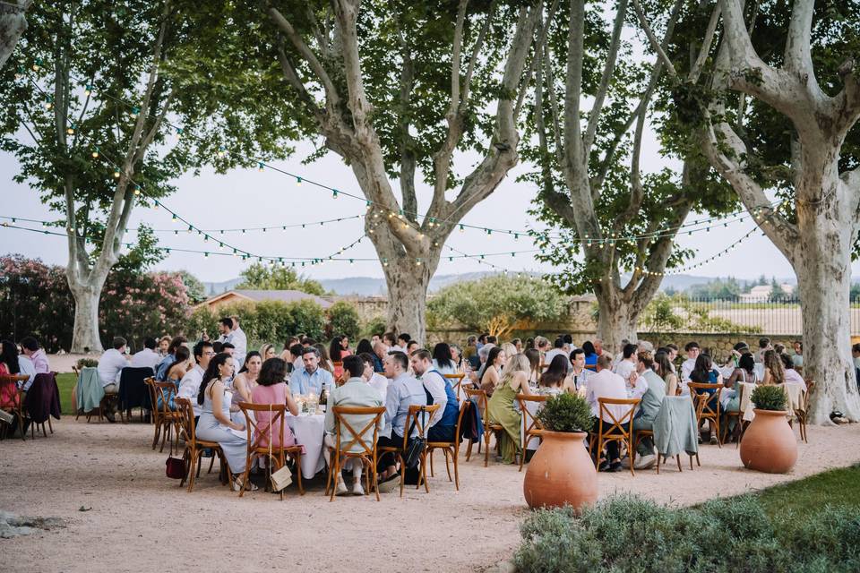 Repas dans le parc
