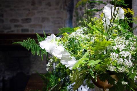 Fleurs sur pierres