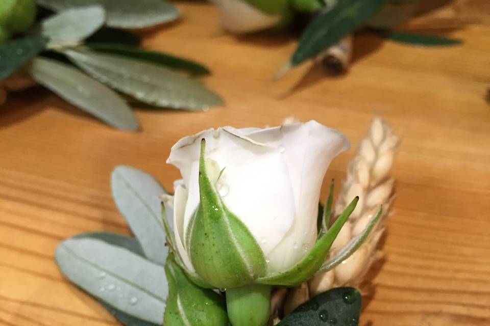 Boutonnière olivier