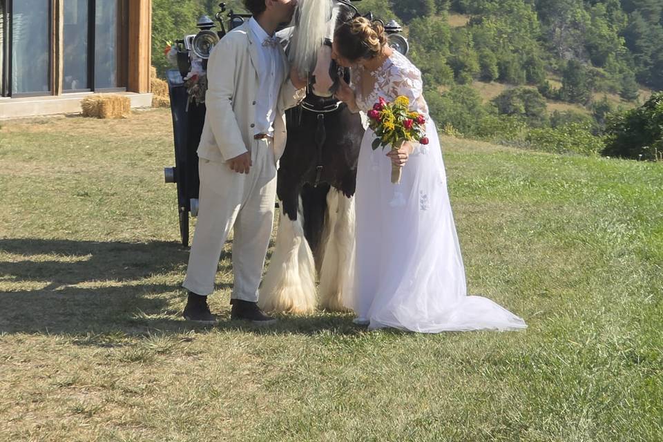 à la Ferme des Ecrins