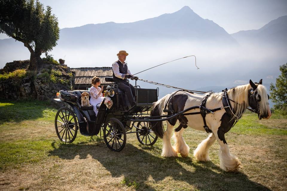 à la Ferme des Ecrins