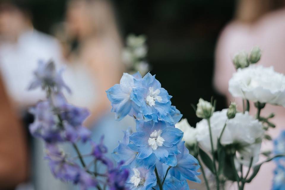 Détails fleurs