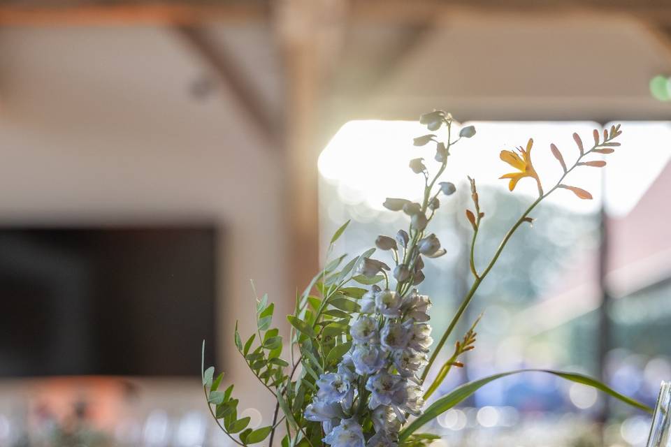 Soliflores
