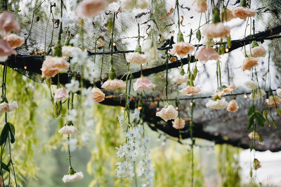 Ciel de fleurs