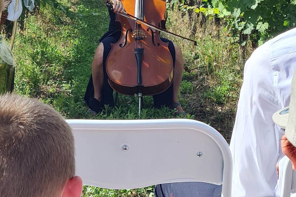 Cérémonie laïque