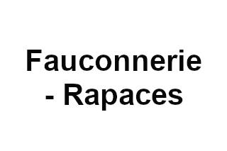 Fauconnerie - Rapaces