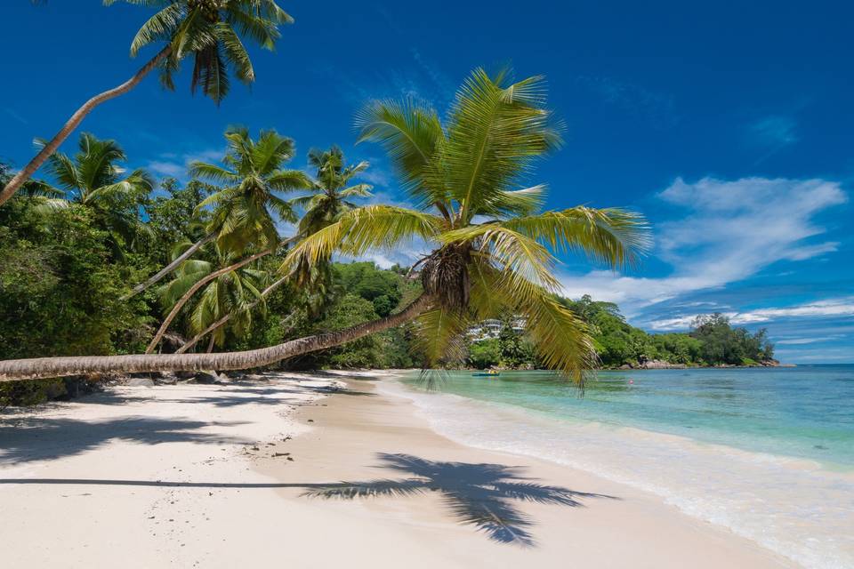 Seychelles plages et plongée