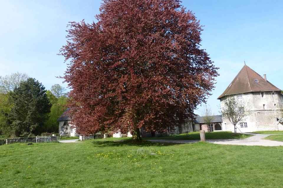Cadre extérieur