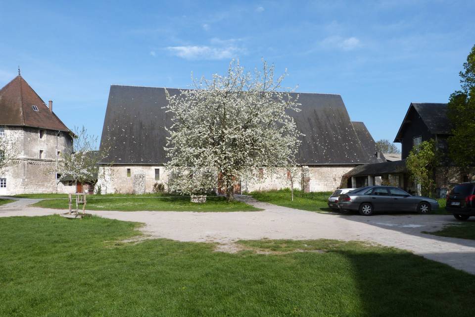 Salle des fêtes