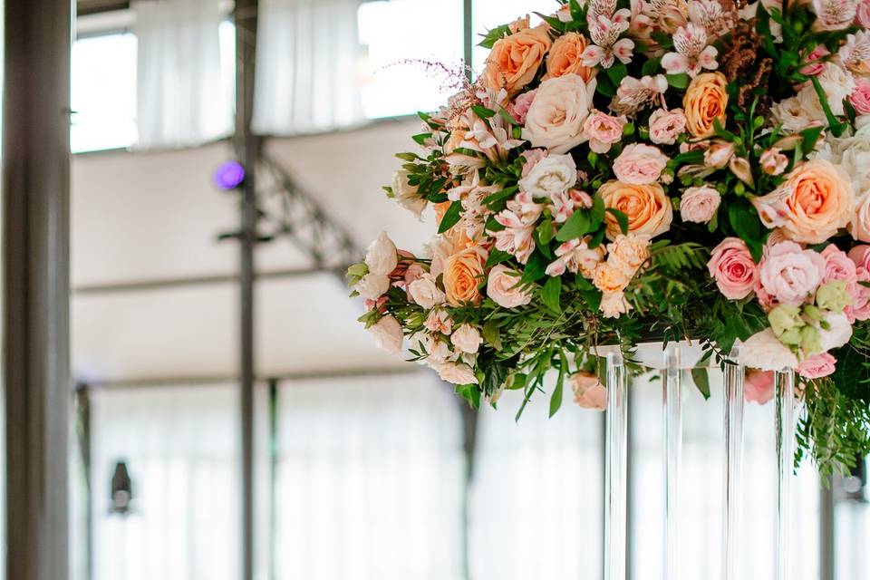 Nuances de roses, D&T