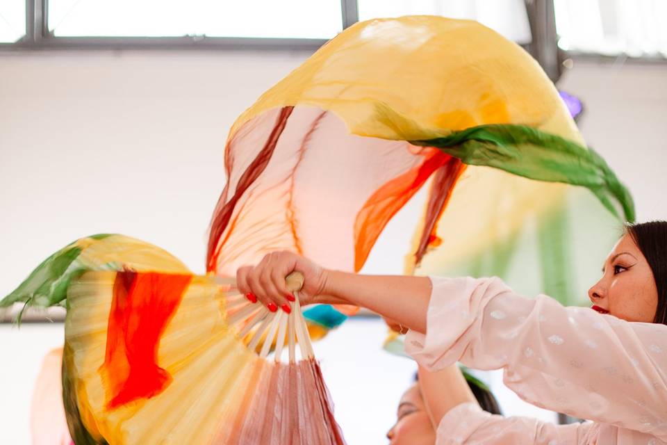 Danses Viêtnamiennes