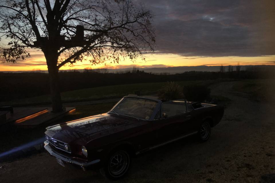 Mustang cabriolet GT 1966