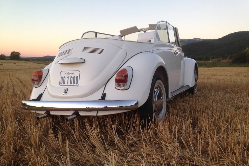 Coccinelle Cabriolet