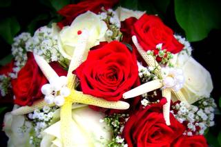 Florania 1
