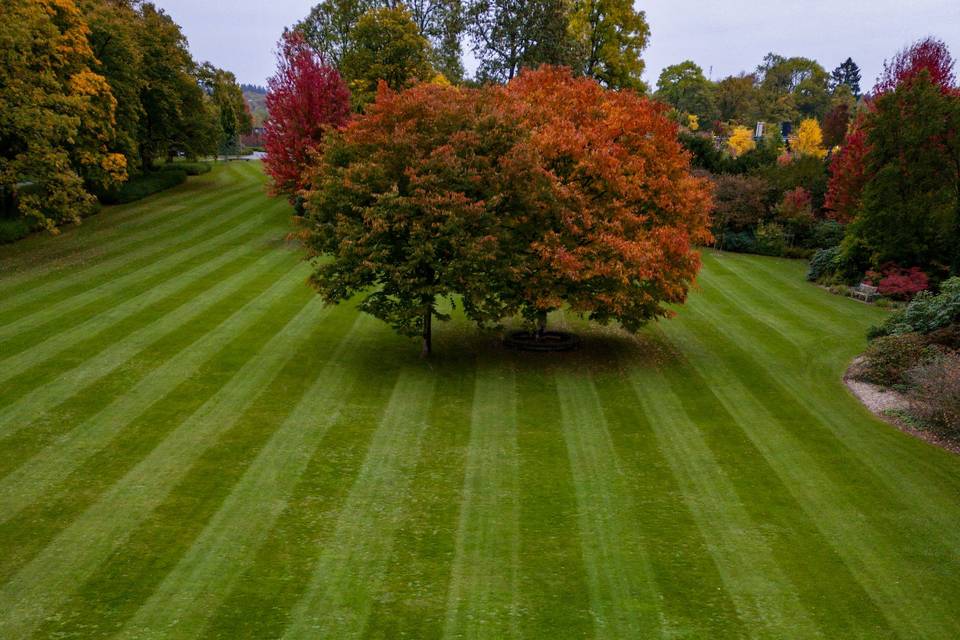 Drone shot