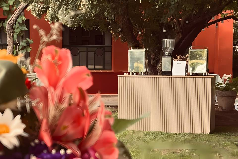 Petit Moulin Espresso Bar