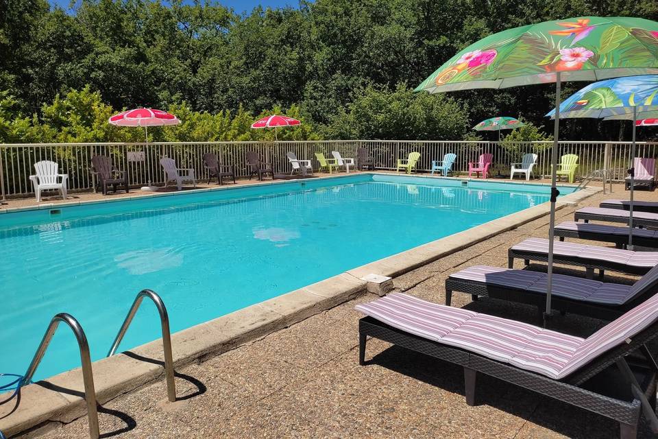 Piscine avec transats/parasols