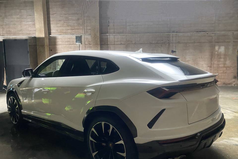 Lamborghini Urus blanc loc
