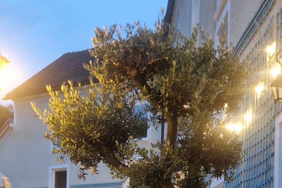 Le Manoir de Tigeaux