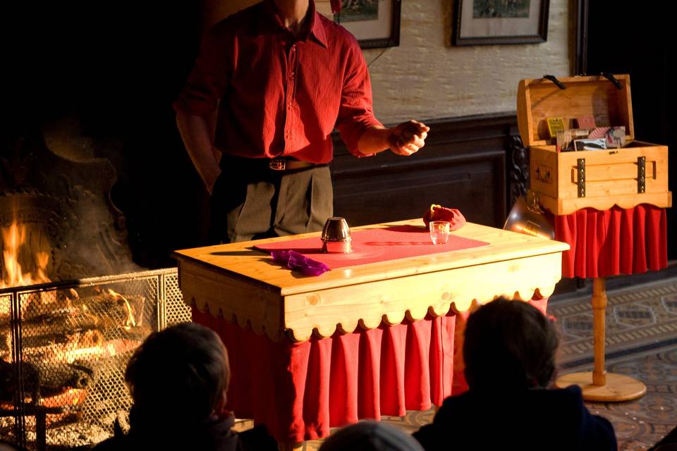 Photo fête de Noël au château de la Ferté st Aubin ( LOIRET )