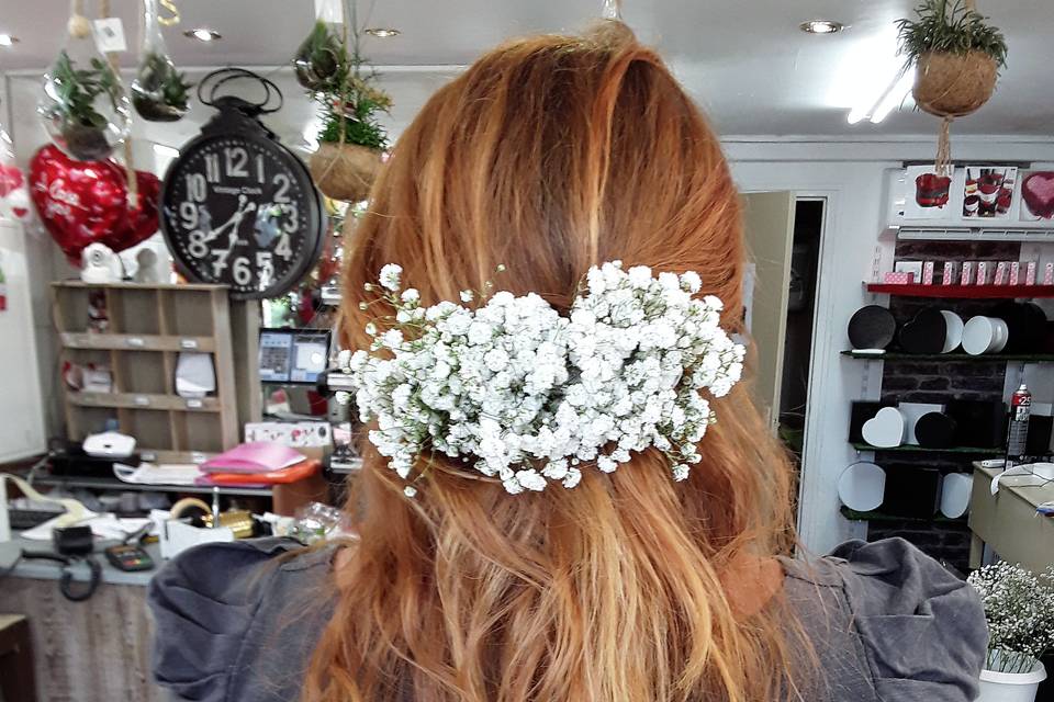 Barette gypsophile