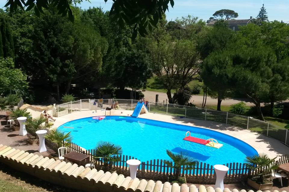 La piscine et ses palmiers