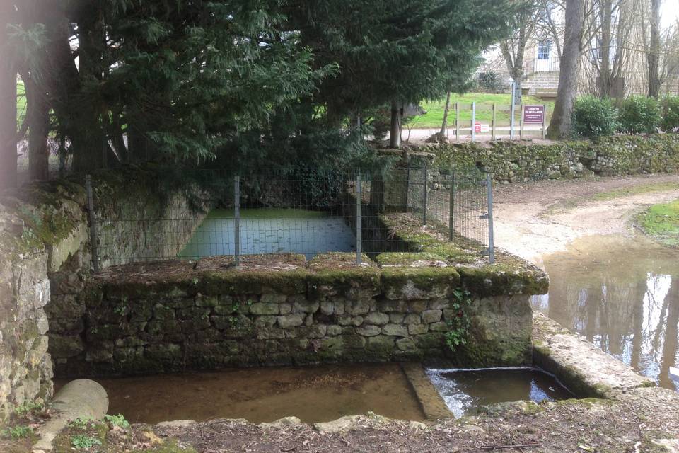 Fontaine du Port