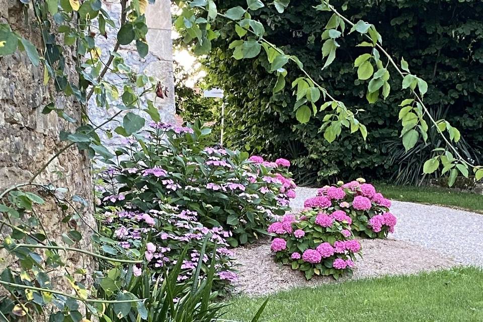 Massif fleurs