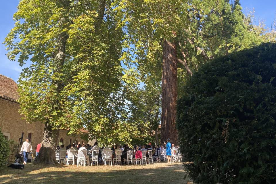 Parc avant