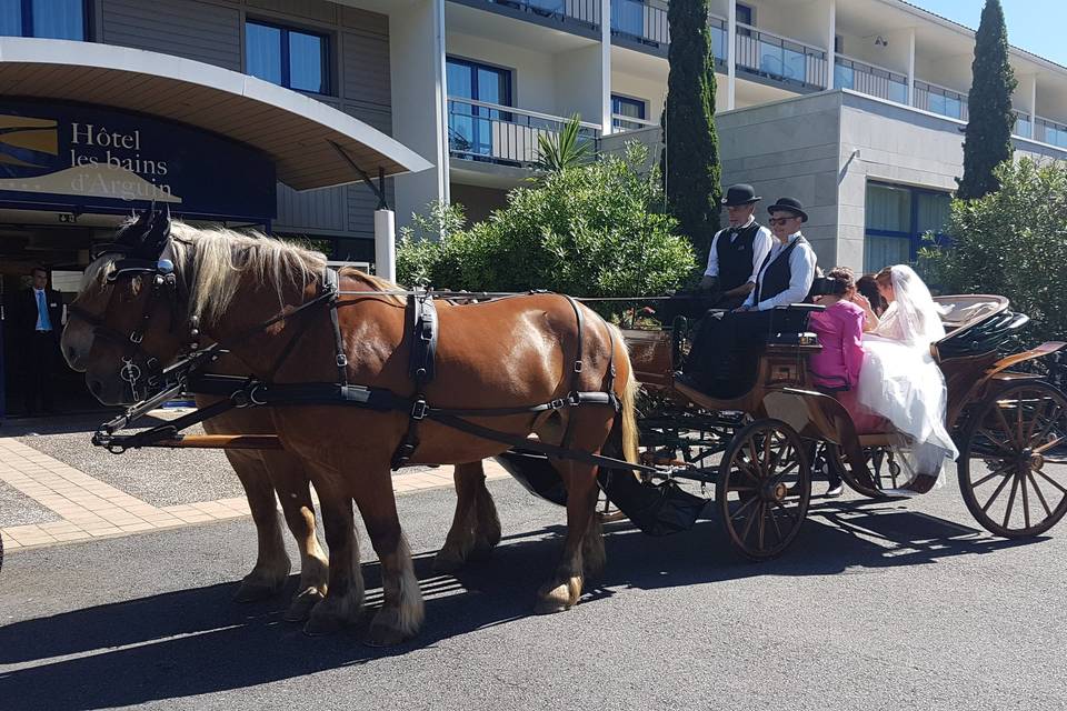 Les Calèches du Lysos