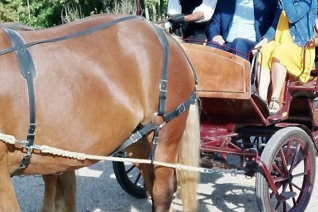 A Bordeaux en calèche