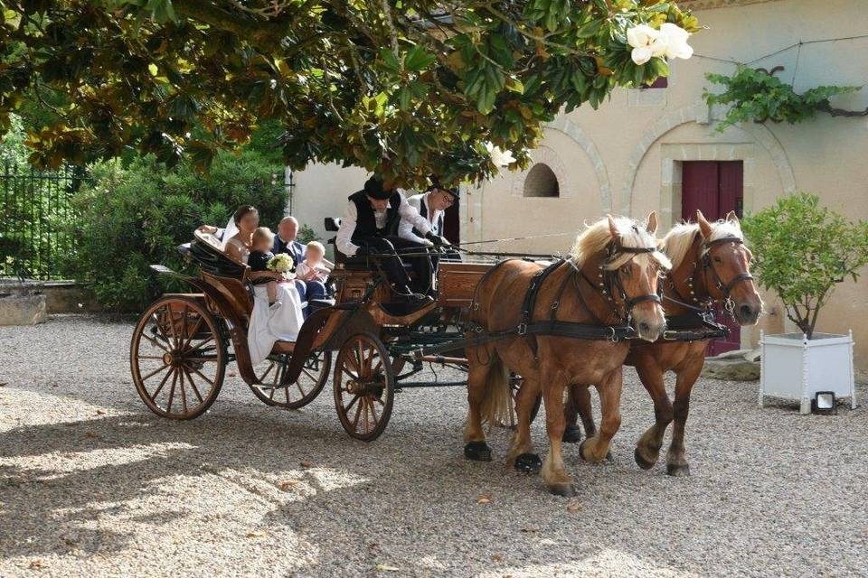 Les Calèches du Lysos