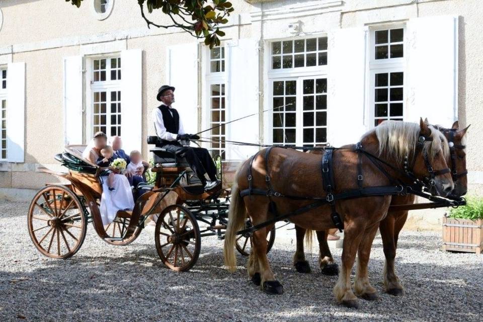 Les Calèches du Lysos