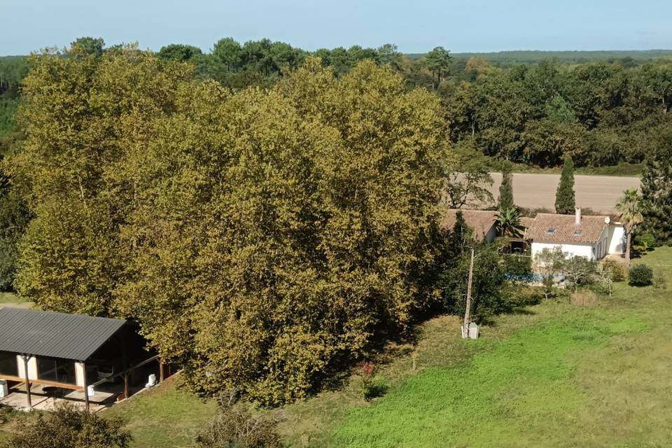 Vue du ciel