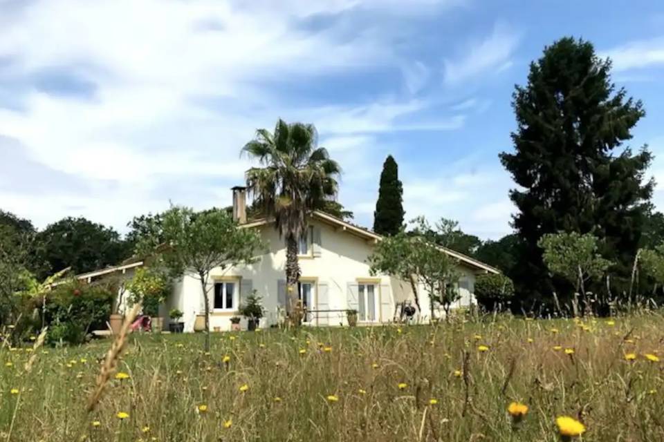 La verdure