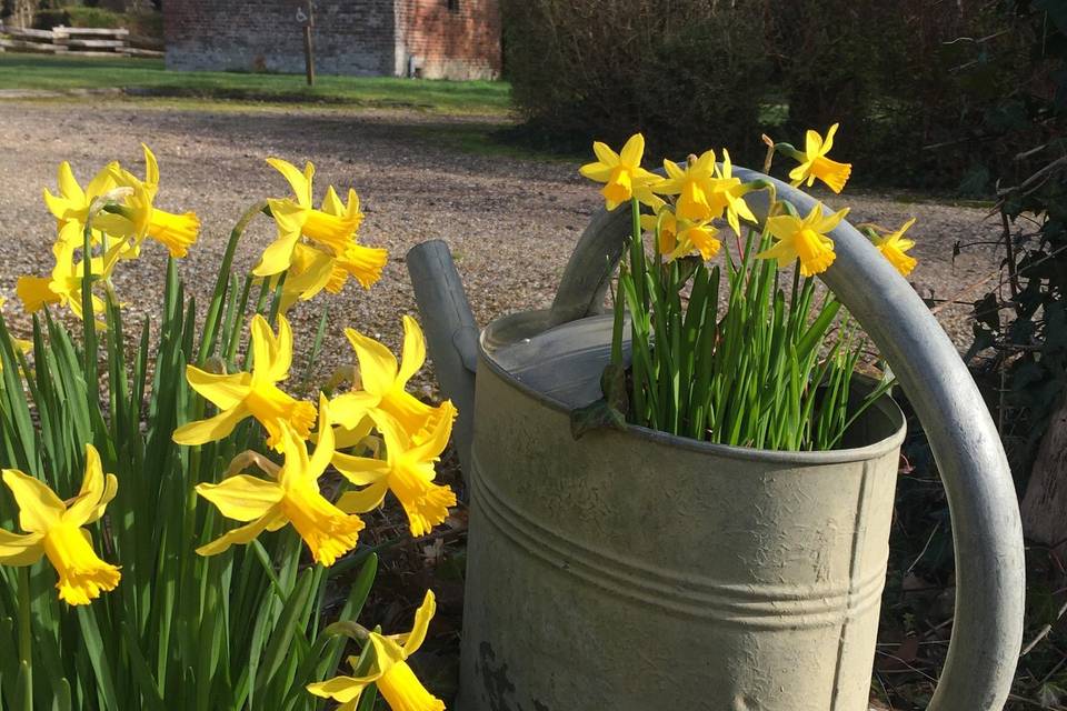 Le printemps au pressoir