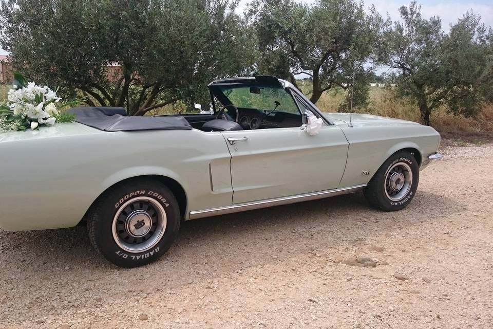 Mustangcab