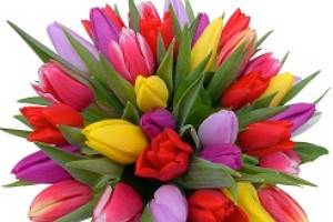 Bouquet rond tulipe multicolore