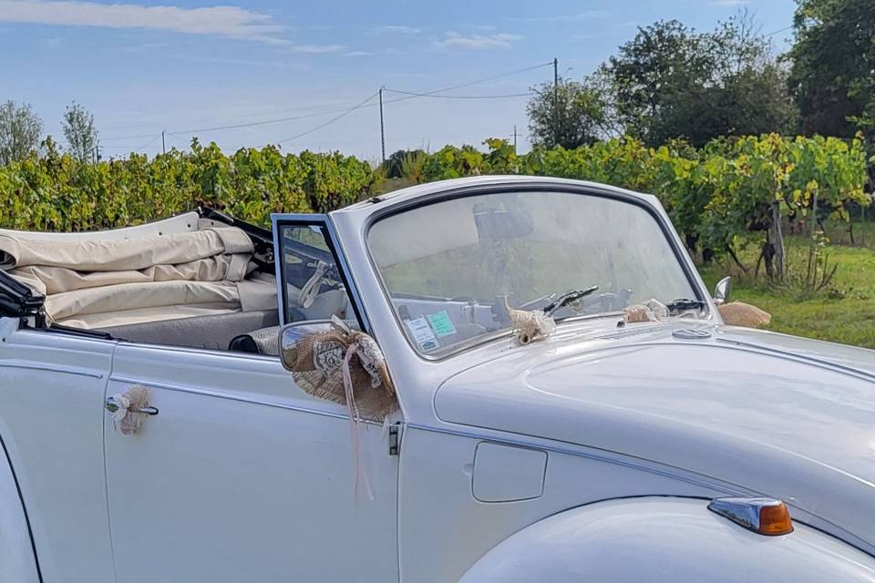 Dans les vignes