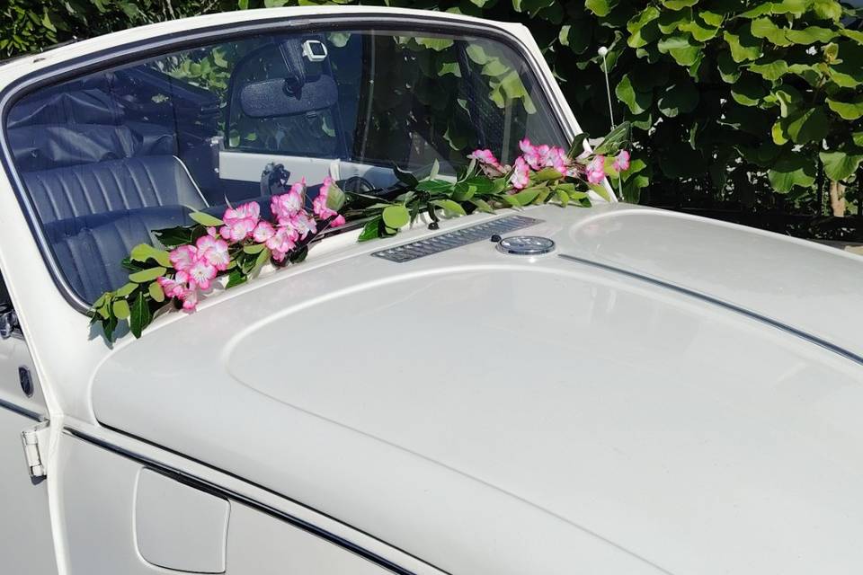 fleurs de cerisier