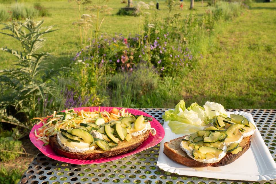 Courgette / Chèvre / Miel
